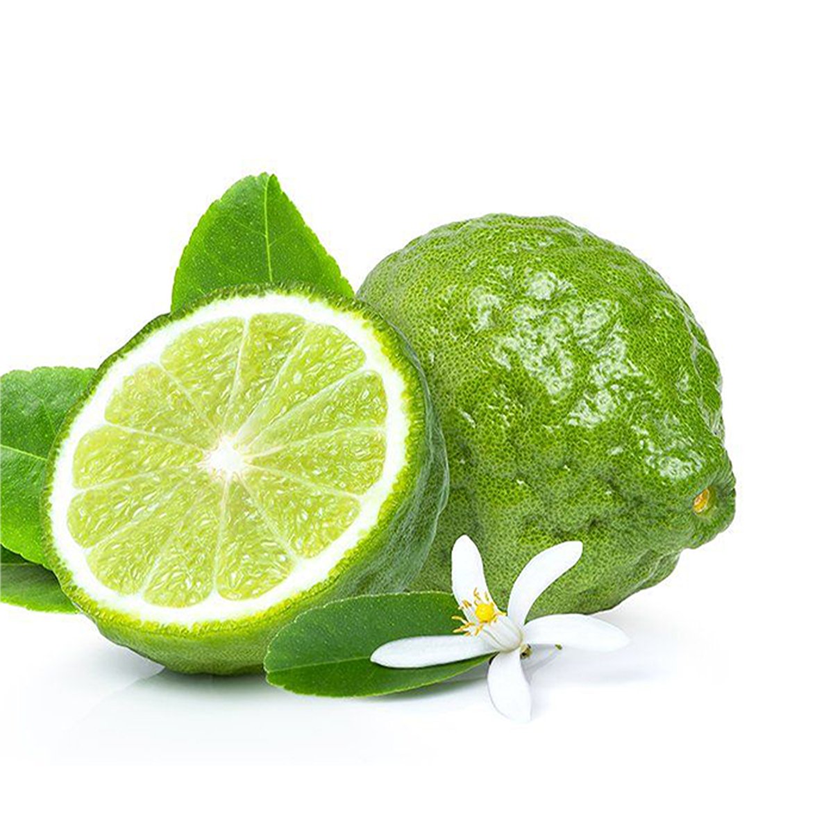 Bergamot Fragrance Oil