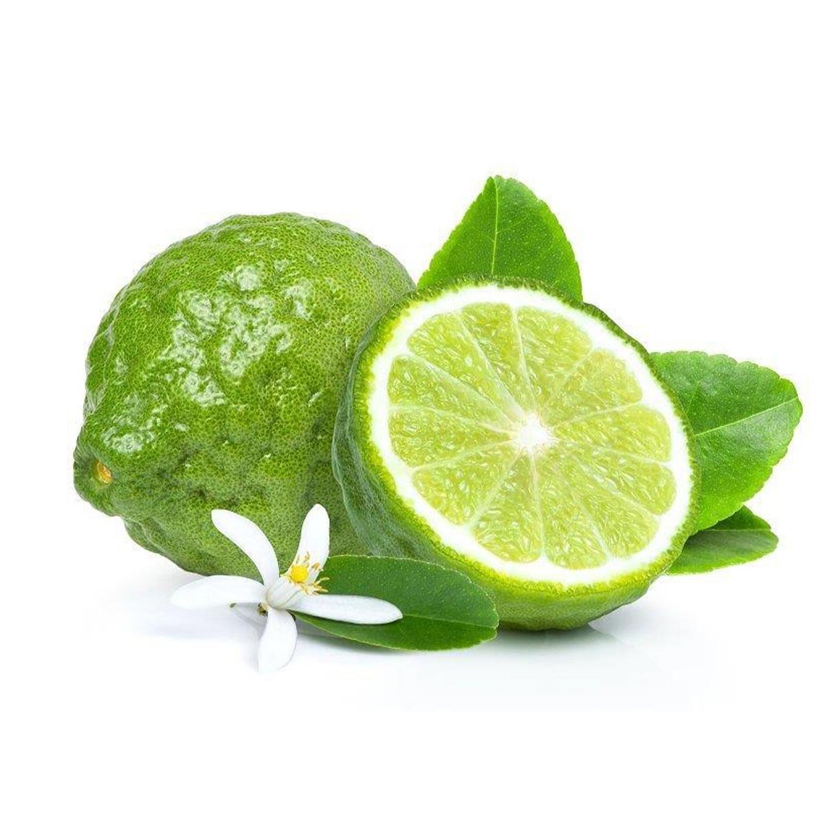 Bergamot Hydrosol