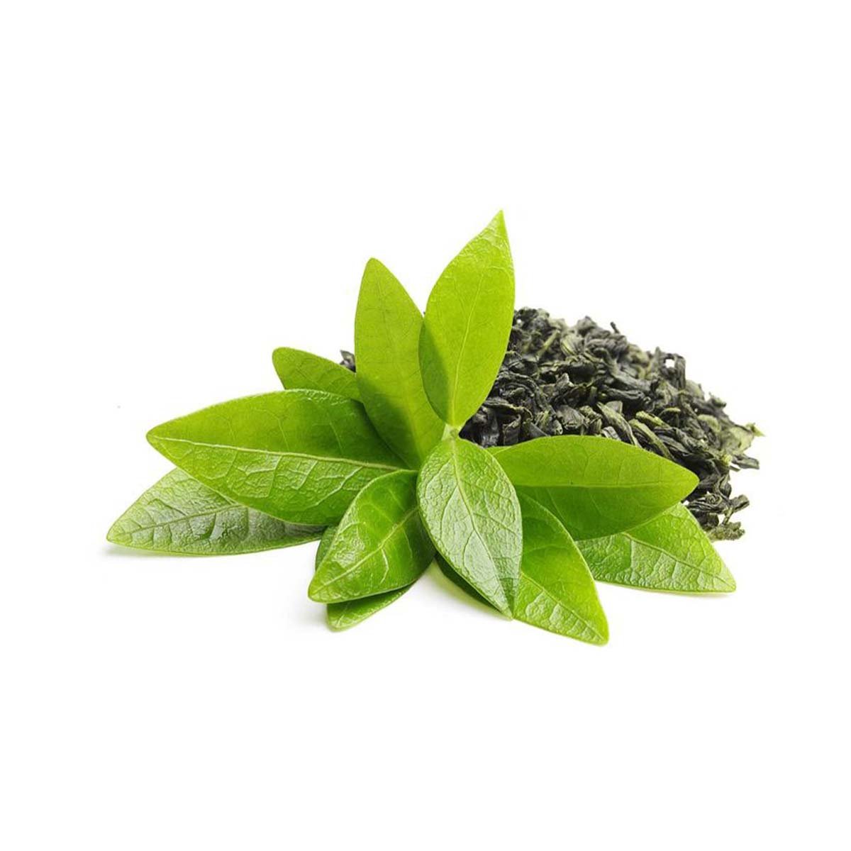Green Tea Essential Oil