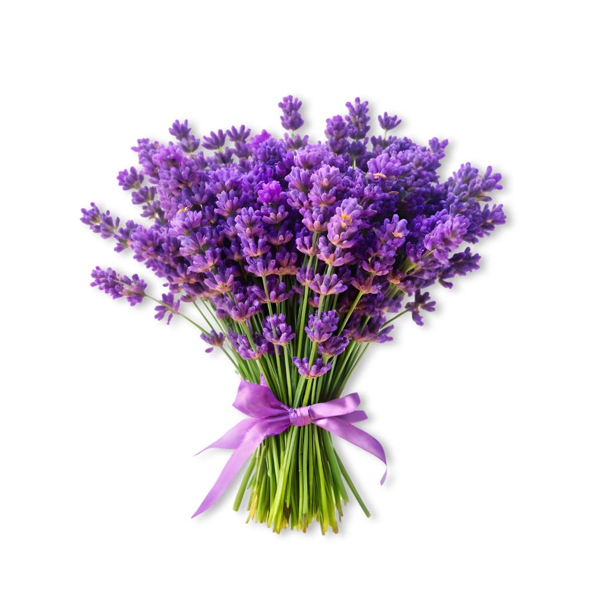 Lavender Fragrance Oil