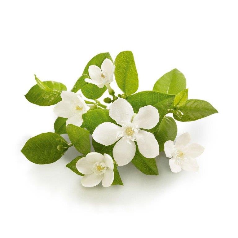Neroli Hydrosol