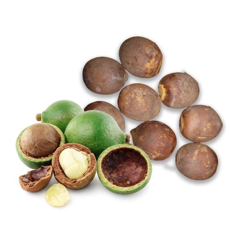 Babassu Oil