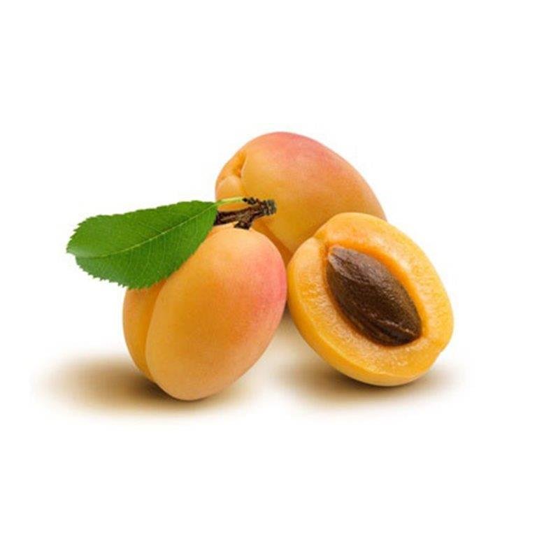 Apricot Kernel Oil