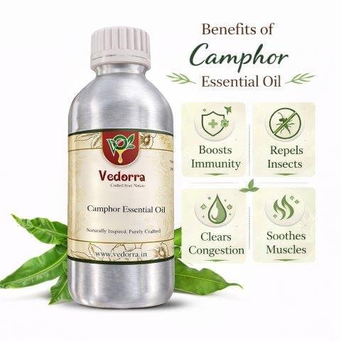 Camphor Essential Oil