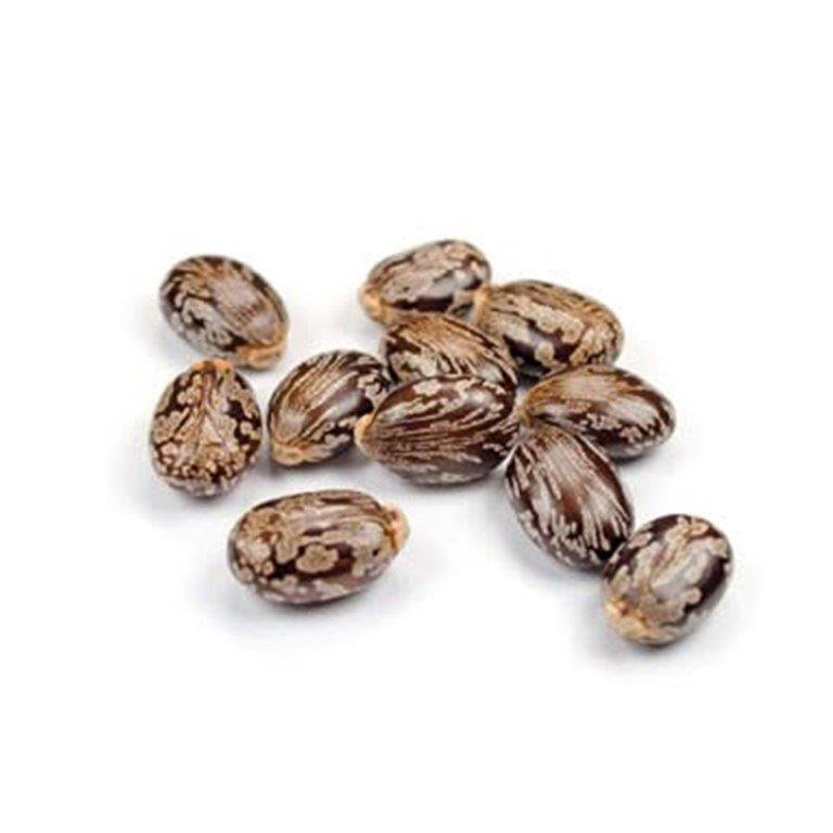Castor Oil