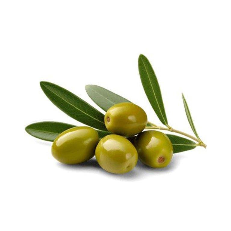 Olive Oil