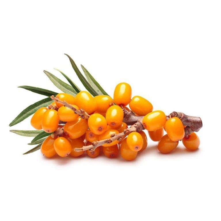 Sea Buckthorn Oil