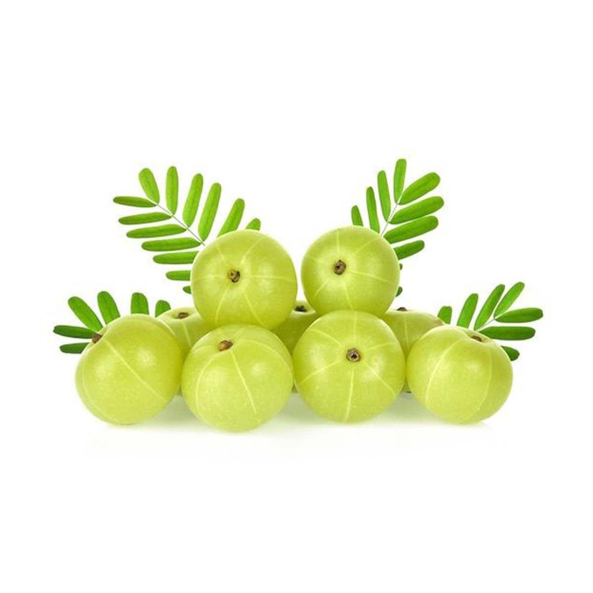Amla Liquid Extract