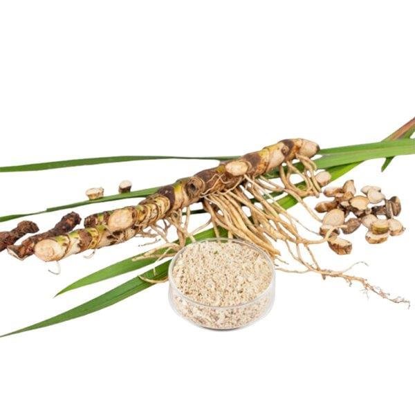 Calamus Essential Oil