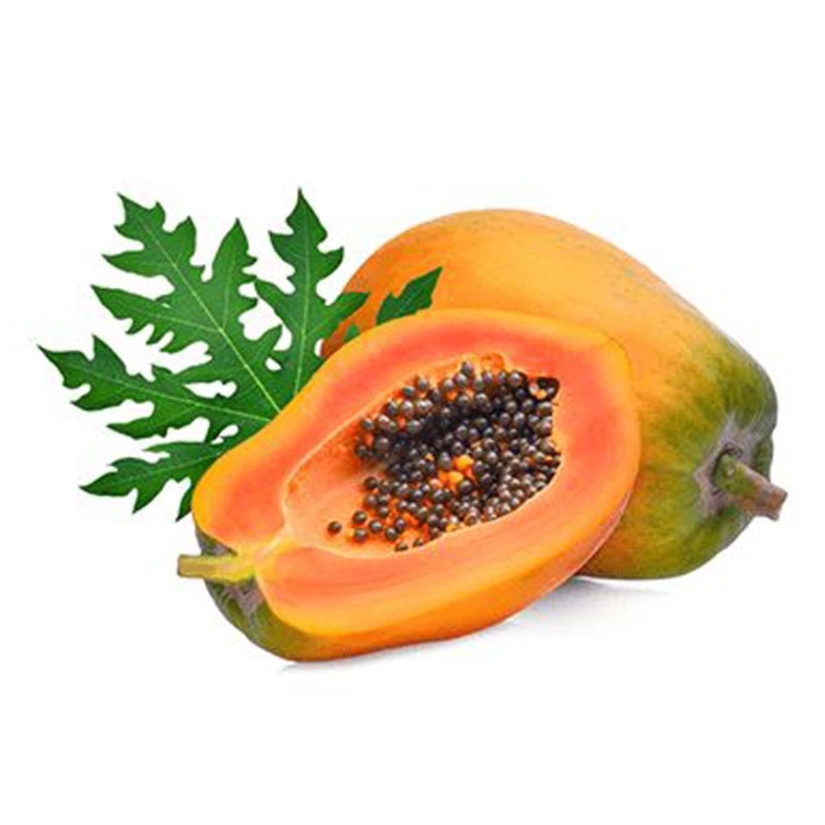 Papaya Liquid Extract
